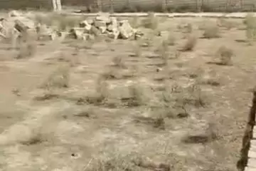 Satılır Torpaq Masazırda