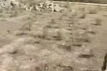 Satılır Torpaq Masazırda