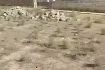 Satılır Torpaq Masazırda