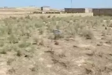 Satılır Torpaq Masazırda