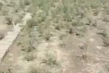 Satılır Torpaq Masazırda