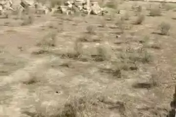 Satılır Torpaq Masazırda