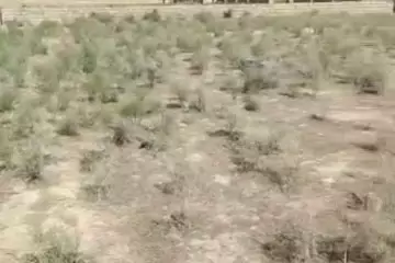 Satılır Torpaq Masazırda