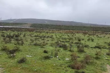 Satılır Torpaq Goradildə