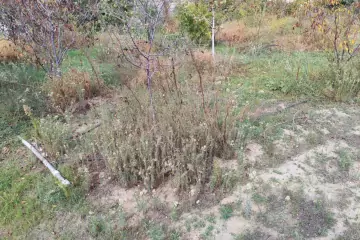 Satılır Torpaq Maştağada