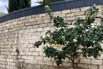 Satılır Həyət Evi Maştağada