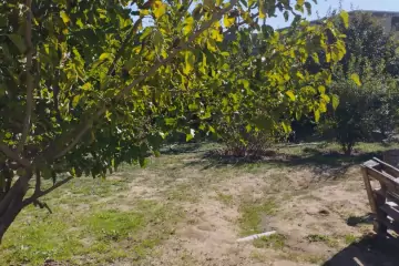 Satılır Həyət Evi Maştağada