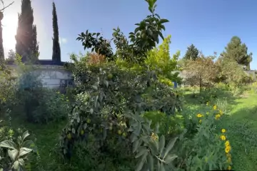 Satılır Həyət Evi Maştağada