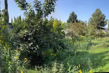 Satılır Həyət Evi Maştağada