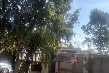 Aylıq Kirayə Bağ Evi Novxanıda