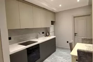 Aylıq Kirayə Yeni Tikili Ukraniya Dairəsida
