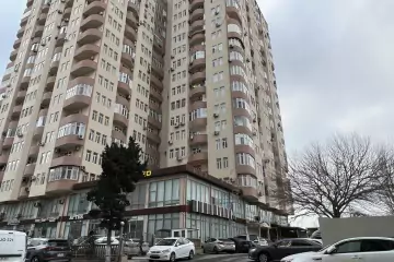 Aylıq Kirayə Obyekt Kaktusda