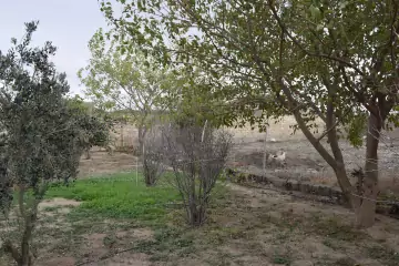 Satılır Torpaq Türkənda