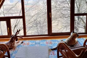 Günlük Kirayə Bağ Evi Quba Rayonunda