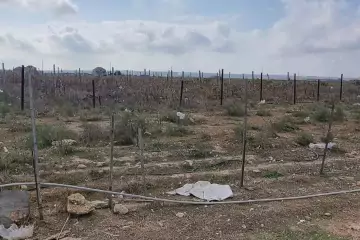 Satılır Torpaq Buzovnada