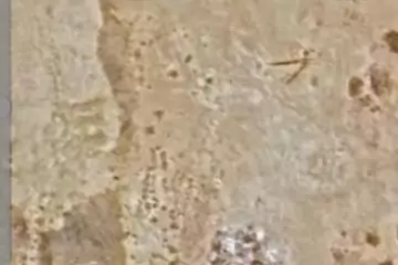 Satılır Torpaq Sahildə