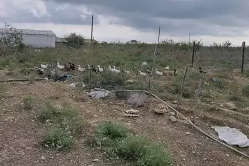 Satılır Torpaq Buzovnada
