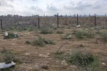 Satılır Torpaq Buzovnada