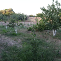 8 sot  torpaq satılır, Maştağa