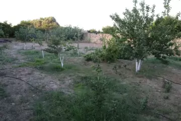 Satılır Torpaq Maştağada