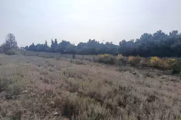 Satılır Torpaq Ceyranbatan Qəs.də