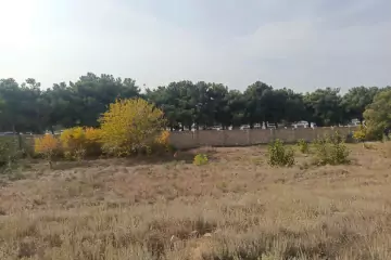 Satılır Torpaq Ceyranbatan Qəs.də