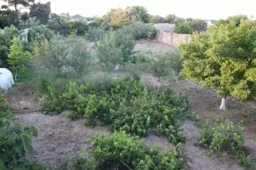 Satılır Torpaq Maştağada