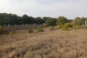 Satılır Torpaq Ceyranbatan Qəs.də