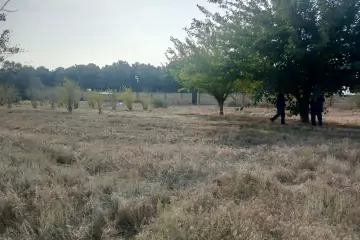 Satılır Torpaq Ceyranbatan Qəs.də