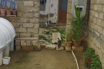 Satılır Həyət Evi Bülbülədə