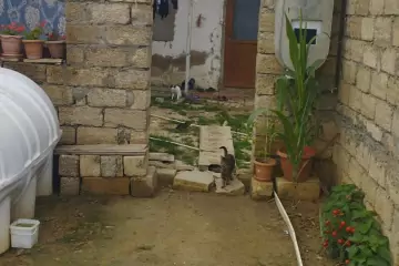 Satılır Həyət Evi Suraxanıda