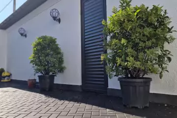 Satılır Villa Badamdarda
