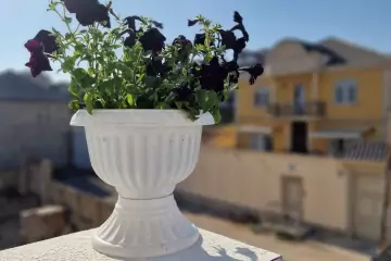 Satılır Villa Badamdarda