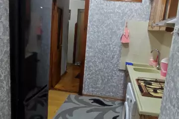 Satılır Köhnə Tikili Nərimanov Parkı