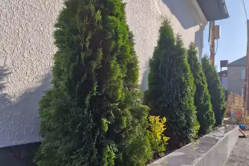 Satılır Villa Badamdarda