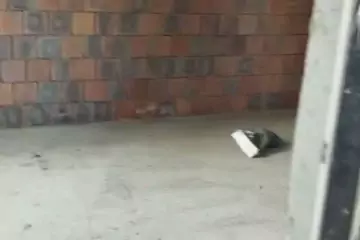 Satılır Yeni Tikili Biləcəridə