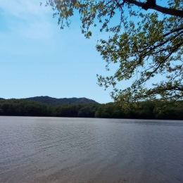 Günlük kirayə 3 otaqlı bağ evi 100 m², 6 sot  torpaq, Lənkəran