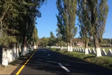 Günlük Kirayə Bağ Evi Lənkəranda