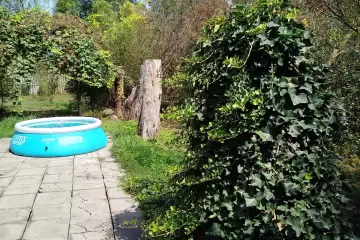 Günlük Kirayə Bağ Evi Lənkəranda