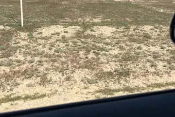 Satılır Torpaq Qobuda