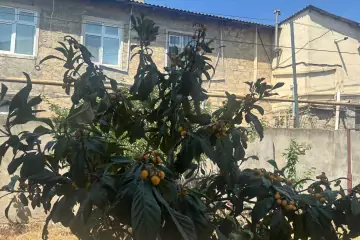 Satılır Torpaq Maştağada