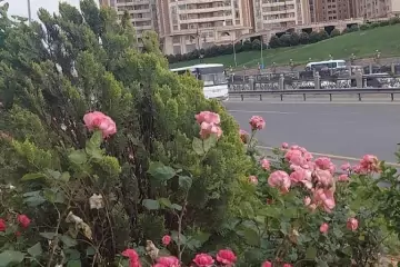 Satılır Yeni Tikili Yeni Yasamalda 