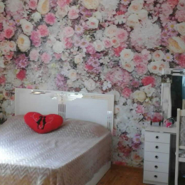 Satılır 4 otaqlı Həyət evi 2 m², 2 sot  torpaq, Masazır