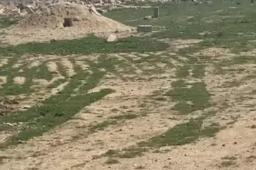 Satılır Torpaq Hövsanda 