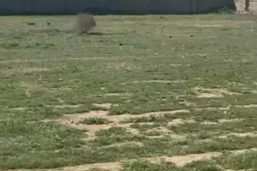 Satılır Torpaq Hövsanda 