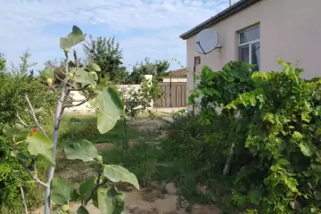 Satılır Bağ Evi Novxanıda 