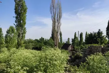 Satılır Yeni Tikili şamaxı Rayonunda 