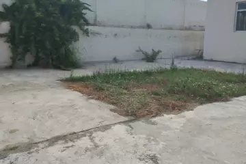 Satılır Bağ Evi Novxanıda 
