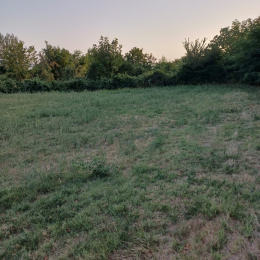 80 sot  torpaq satılır, Şəki şəhəri