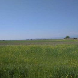 14 sot  torpaq satılır, 20-ci sahə